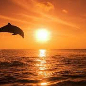 Meet your Posher, Paulette